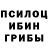 Псилоцибиновые грибы Psilocybine cubensis GGLS BLACKE