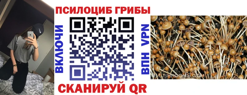 Галлюциногенные грибы прущие грибы  Рубцовск 