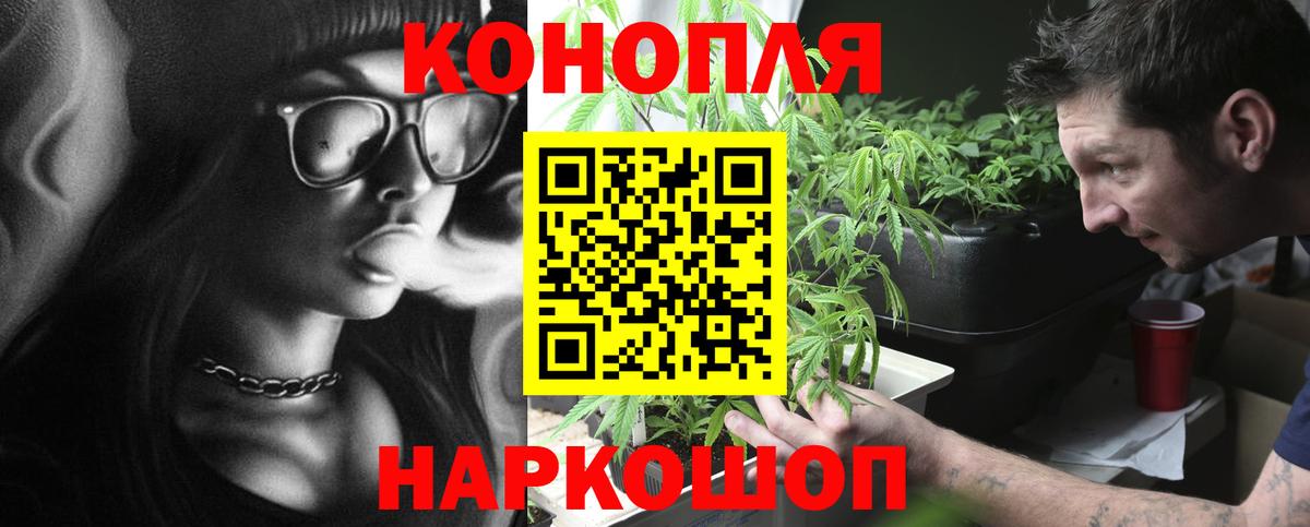 МЕФ Рубцовск
